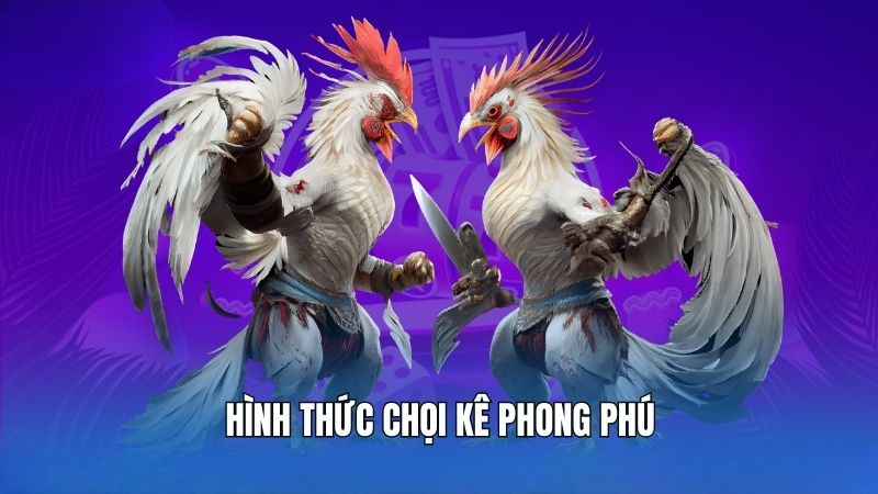 Hình thức chọi kê phong phú